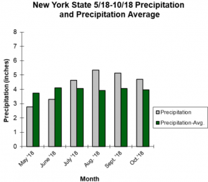 graph showing average precipitation in NYS from may to november 2018