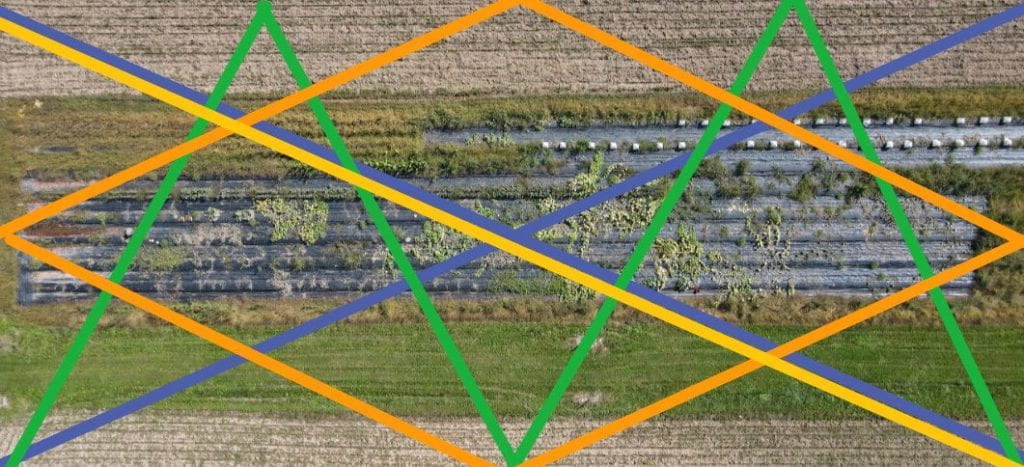 Aerial shot showing scouting routes through hemp field